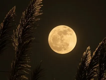 Soft Binaural Beats For Sleep Gradual Volume Drop