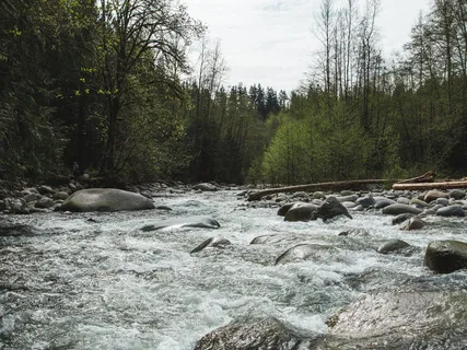 Soft Bodyscan & Gentle Soundbath (No Extended Music)