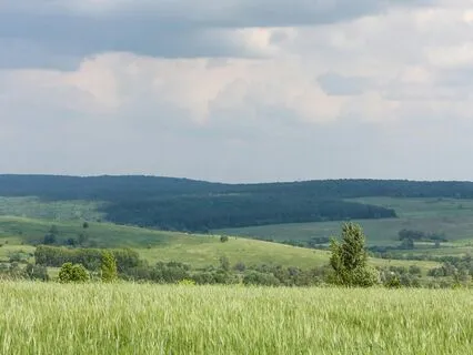 Soft Breeze Harmonies