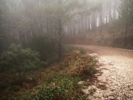 Soft Brown Noise + Rain For Sleep (1 Hour)