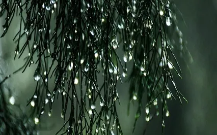 Soft Drum Healing Music - Embracing