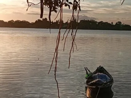 Soft Flute Melody For Your Mental Peace