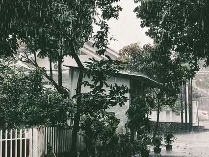 Soft Flutes & Bells Under The Calming Rain