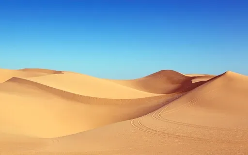 Soft Healing Music 888Hz