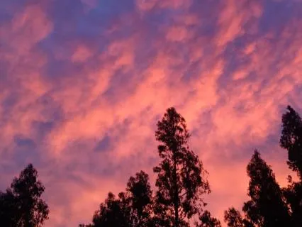 Soft Horizon — Balanced Pink Noise (8 Hours)