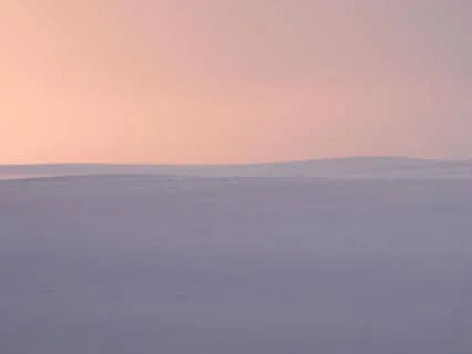 Soft Horizon