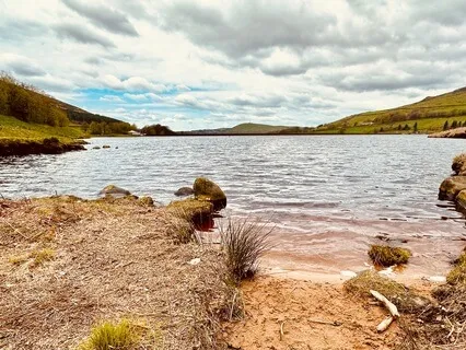 Soft Lapping Water & Distant Singing birds