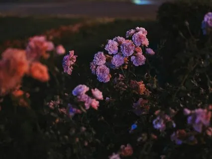 Soft Lullaby: Embrace Restful Sleep