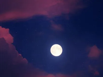 Soft Moonlit Reflections