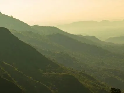 Soft Morning's Light