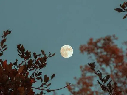 Soft Music For Deep Sleep And Calm Mind 7 Hours