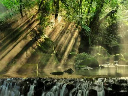 Soft Pads + Crickets | Calm Night Soundscape for Sleeping