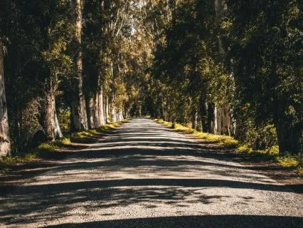 Soft Pathway