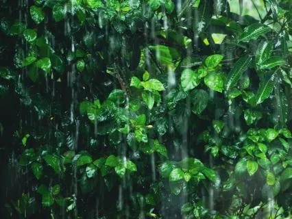 Soft Piano And Rain For Deep Sleep 8 Hours
