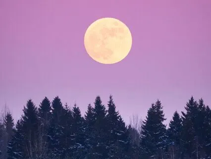 Soft Piano Lullaby – Der Mond ist Aufgegangen | German Song