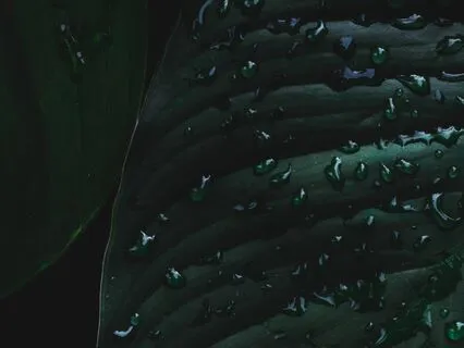 Soft Rain & Relaxing Drone For Deep Sleep And Meditation