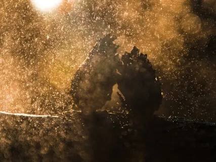 Soft Rain Sounds For Meditation, Sleep & Relaxation