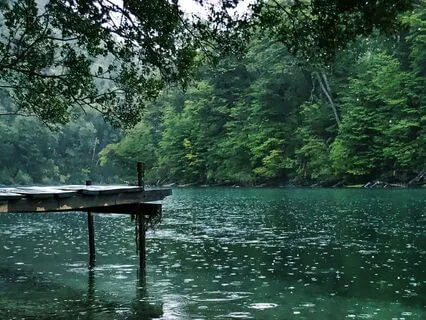 Soft Rain With Calming Music For Stress Relief