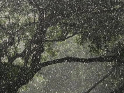 Soft Rainstorm For Sleep 7 Hours