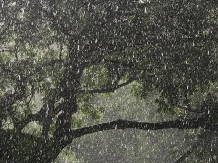 Soft Rainstorm For Sleep 8 Hours