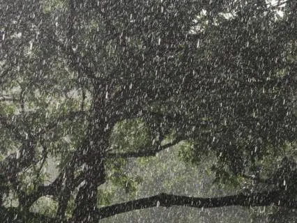 Soft Rainstorm For Sleep