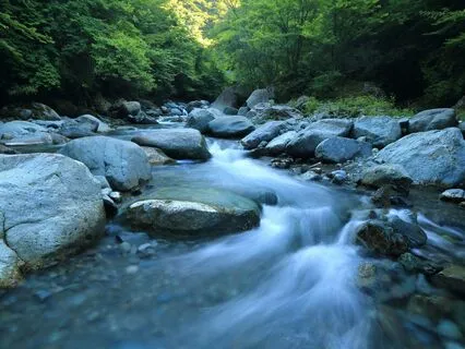 Soft River Sounds And Calming Music For Relaxation