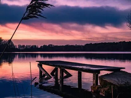 Soft Serenity: 3 Hz Binaural Beats For Meditation And Sleep