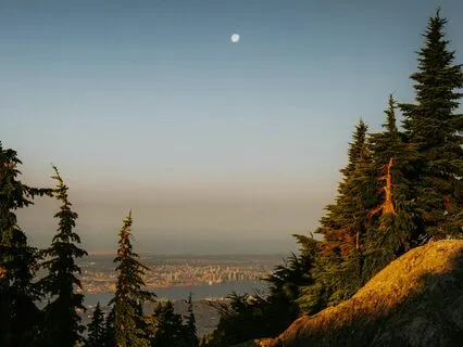 Soft Serenity: Let Go Of Daily Tension