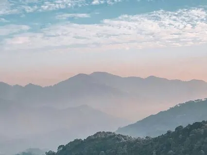 Soft Shoulders, Soft Heart