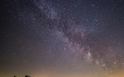 Soft Sleeping Tones - Fiolin