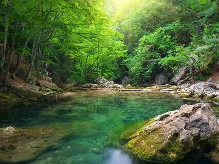 Soft Solace: Escape The Chaos