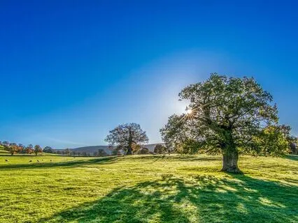 Best Morning Meditation | ASMR | Soft Spoken