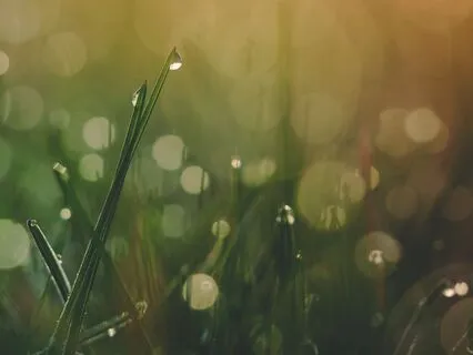 Soft-Spoken Bedtime Affirmations For Confidence & Self-Love