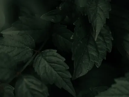 Soft-Spoken Positive Words Before Bed: You Are Strong