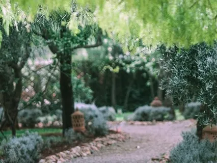 Soft Steps On Garden Path