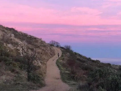 Soft Twilight Trail