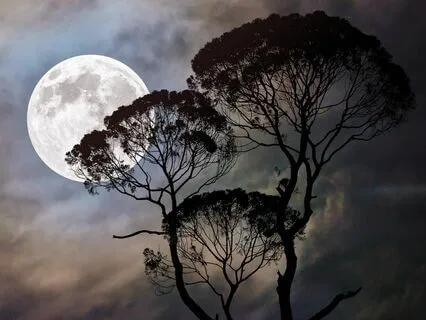 Soft Words For Sleep