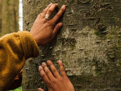 Soften | A Simple Moment To Pause