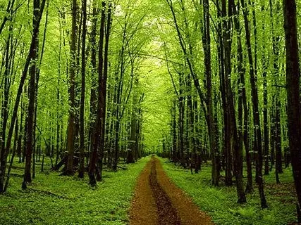 Morning Meditation: Take Time To Be Kind To Yourself