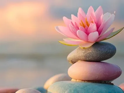 Soften And Heal Meditation
