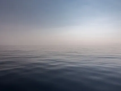 Soften & Soothe Body Scan