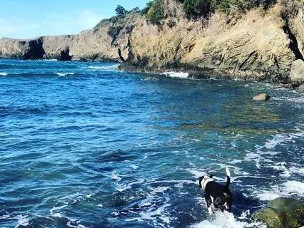 Soften Soothe & Destress