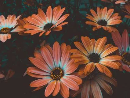 Soften Resentment In 5 Minutes- "Just Like Me" Practice