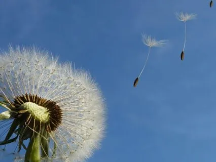 Soften 'Round The Pain