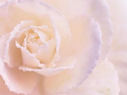 Soften, Soothe, Allow - Working With Difficult Emotions