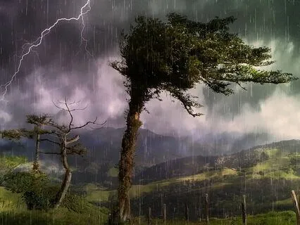 Soften Soothe And Allow Those Difficult Emotions