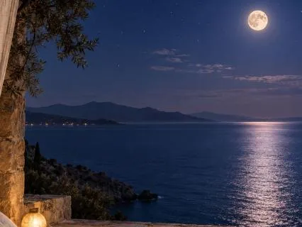 Soften The Body, Rest In Stillness