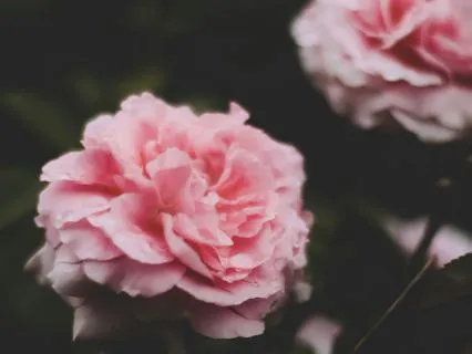 Soften The Way You See Your Body | Evening Meditation
