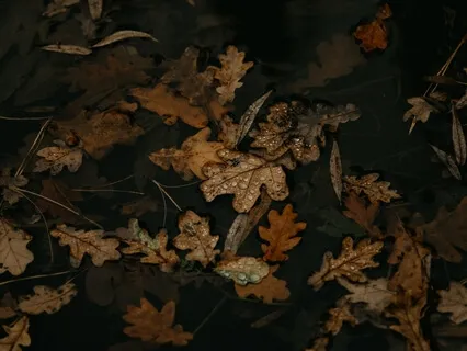 Soften To Sleep (With Background Music)