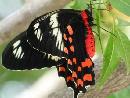 Soften Your Heart (Live)